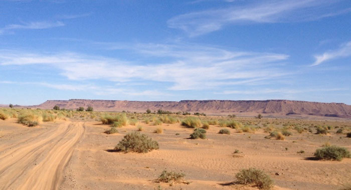 desert-maroc-violet