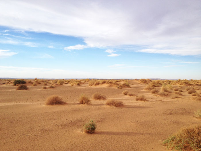 western-desert-maroc